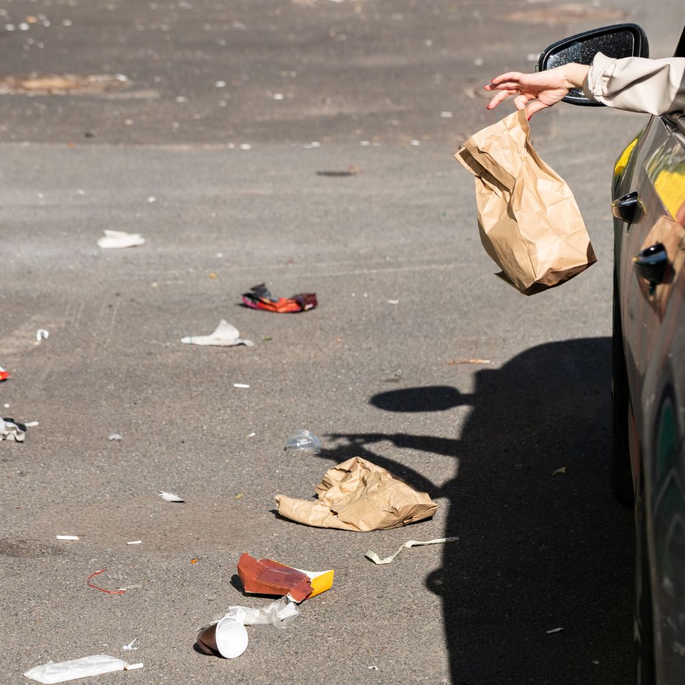 Car Park Litter